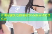 乐清电镀哑光黑料高效环保全自动处理平台