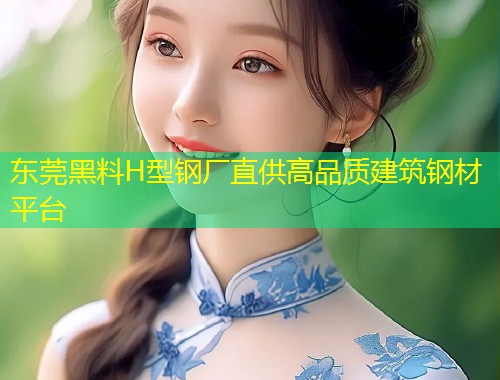 东莞黑料H型钢厂直供高品质建筑钢材平台  第1张