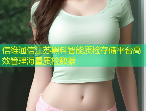 信维通信江苏黑料智能质检存储平台高效管理海量质检数据  第1张