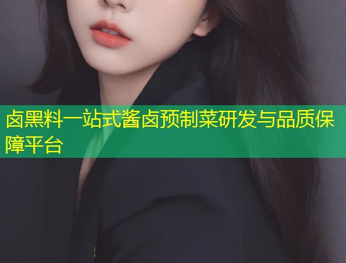 卤黑料一站式酱卤预制菜研发与品质保障平台  第1张