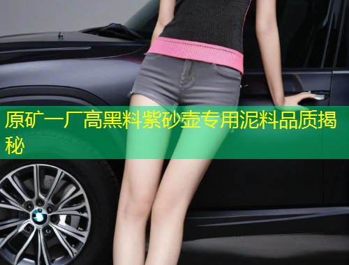 原矿一厂高黑料紫砂壶专用泥料品质揭秘  第1张