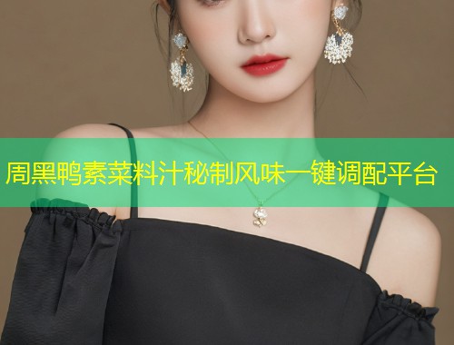 周黑鸭素菜料汁秘制风味一键调配平台  第1张