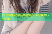 PE黑料揭秘平台功能强大轻松掌握行业内幕