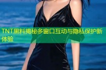 TNT黑料揭秘多窗口互动与隐私保护新体验