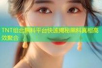 TNT组合黑料平台快速揭秘黑料真相高效聚合