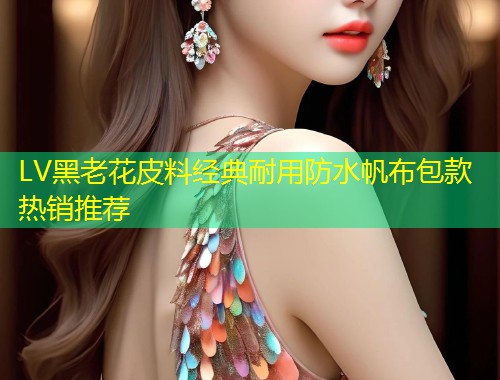 LV黑老花皮料经典耐用防水帆布包款热销推荐  第1张