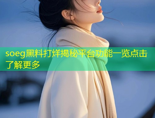 soeg黑料打烊揭秘平台功能一览点击了解更多  第2张